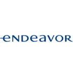 endeavor-meddi-1-azul